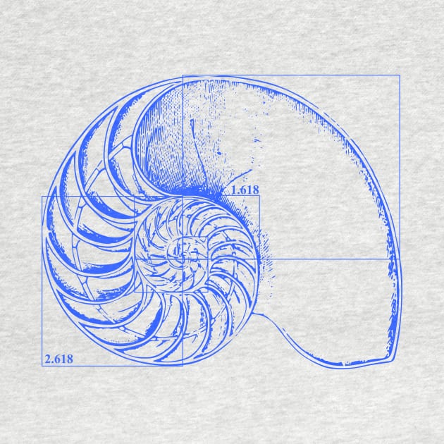 Fibonacci on a nautilus shell (blue) by funmaths